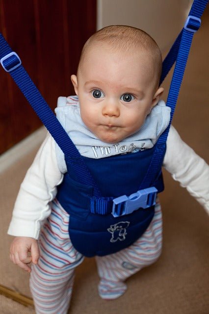 How to choose a baby bouncer - For Your Little One