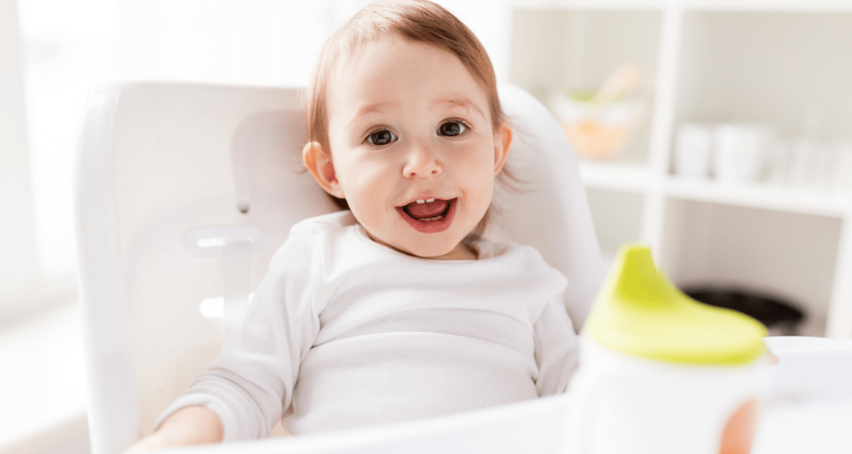 Top 5 Highchairs of 2024: Our Picks - For Your Little One