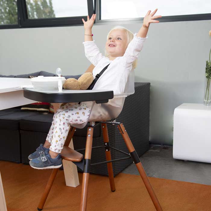 Baby Highchairs - For Your Little One