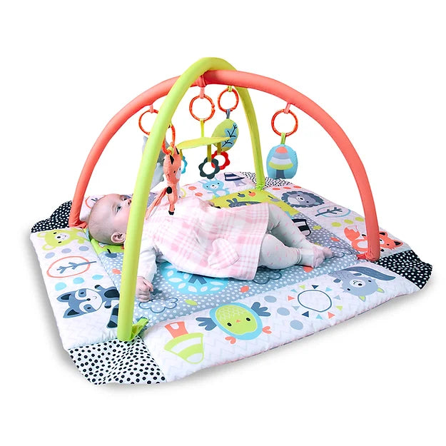 Red Kite Peppermint Trail Ball Play Gym -  | For Your Little One