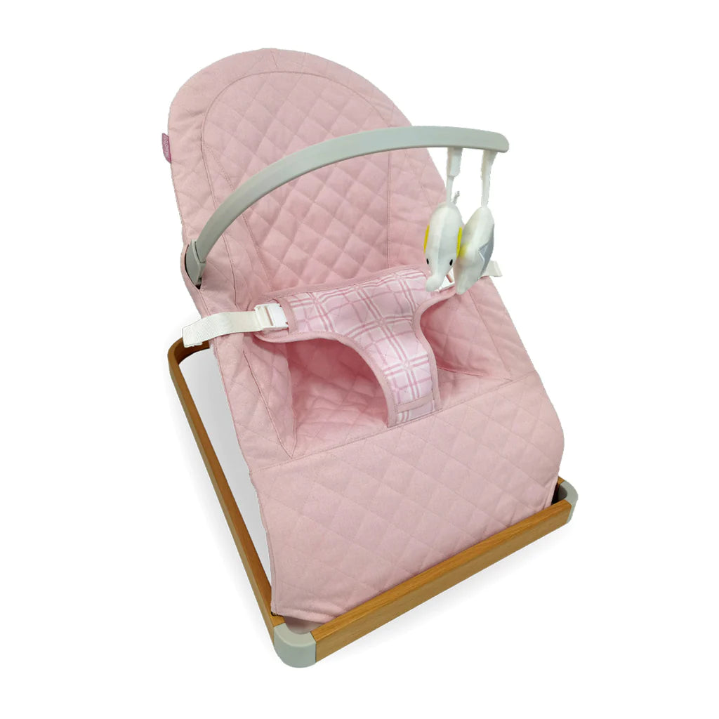 Dani Dyer Pink Plaid Baby Bouncer - For Your Little One