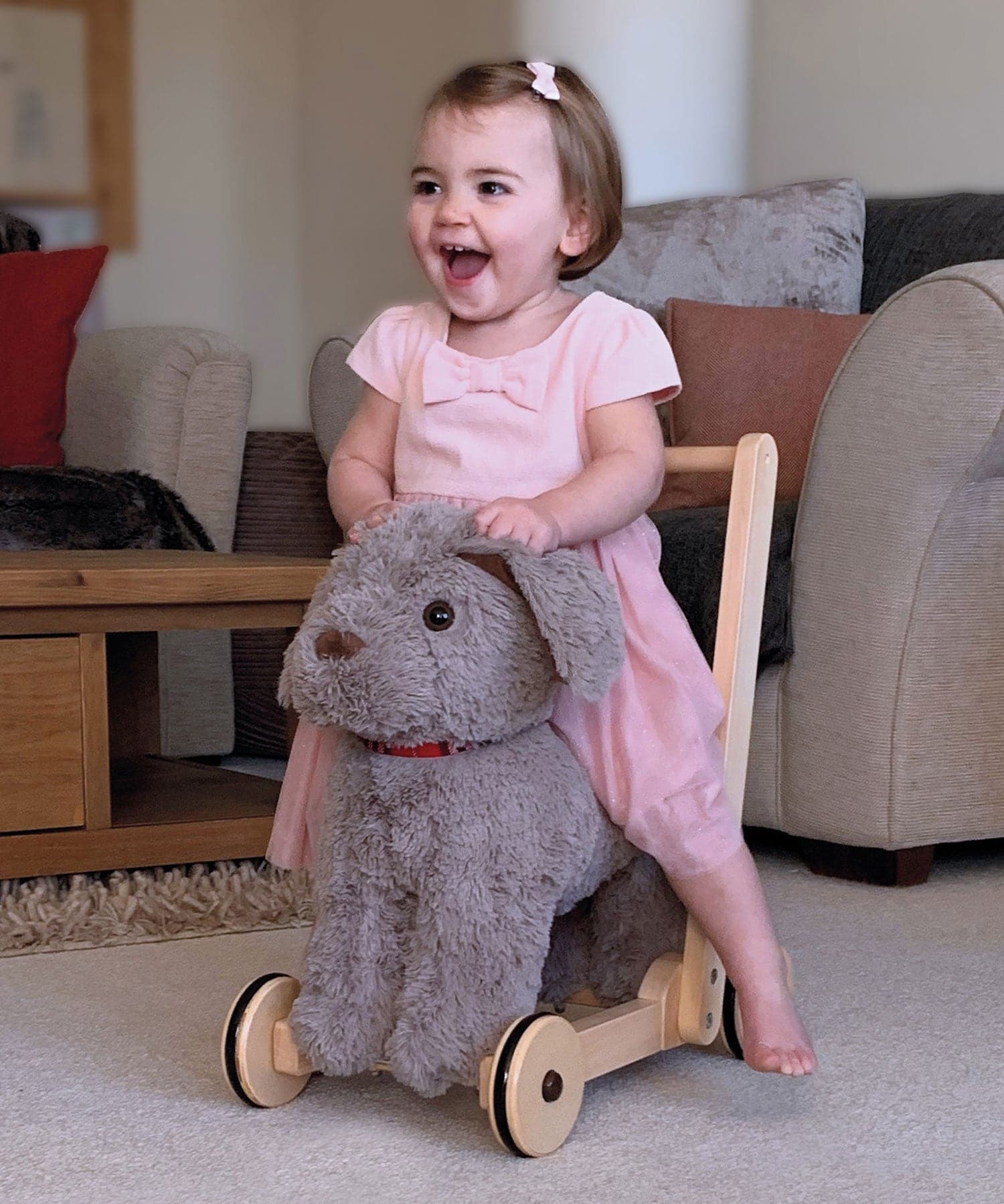 Little Bird Told Me Bailey Baby Walker / Push Along Dog - For Your Little One
