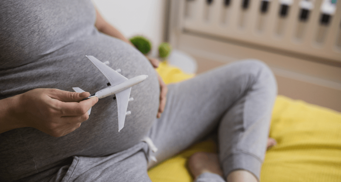 5 Smart Travel Tips Every Expecting Mom Should Know - For Your Little One