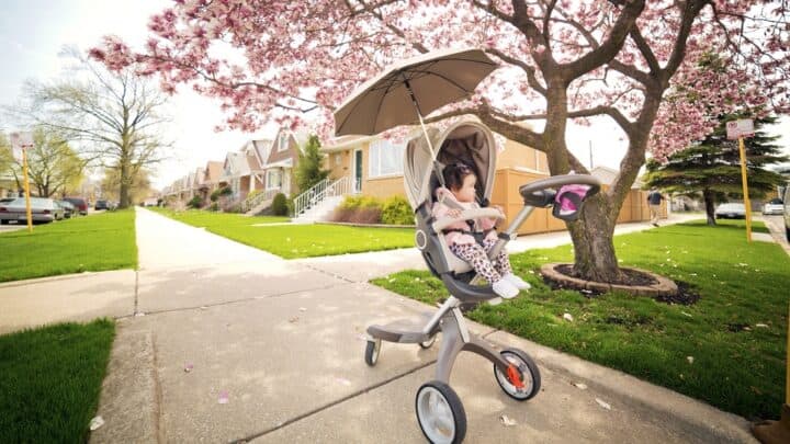 Essential Summer Accessory: A Parasol for Babies