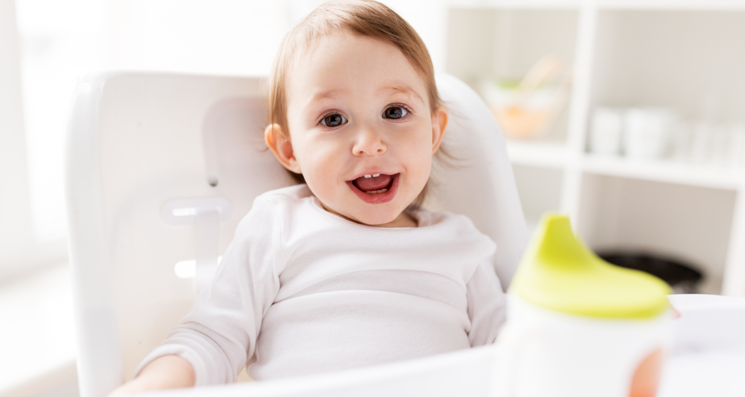 Top 5 Highchairs of 2024: Our Picks