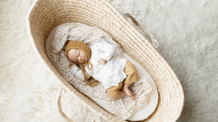 Is a Moses Basket the Right Choice for your Baby? - For Your Little One