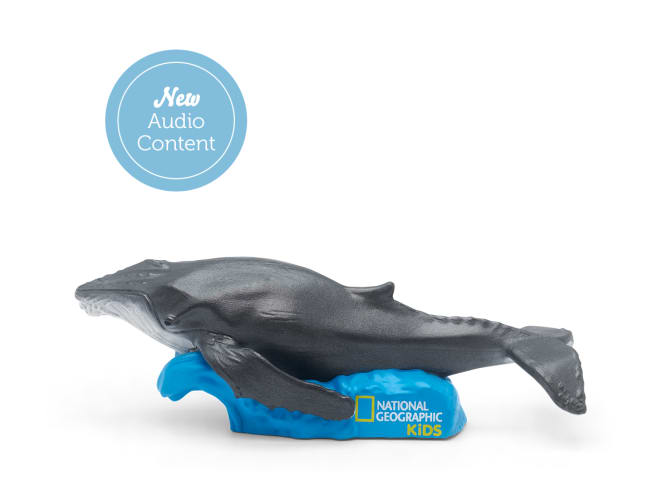 Tonies Stories and Songs National Geographic - Whale -  | For Your Little One