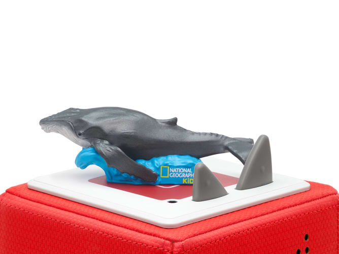 Tonies Stories and Songs National Geographic - Whale -  | For Your Little One