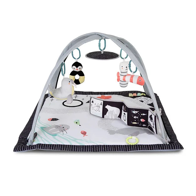 Red Kite Arctic Dreams Play Gym -  | For Your Little One