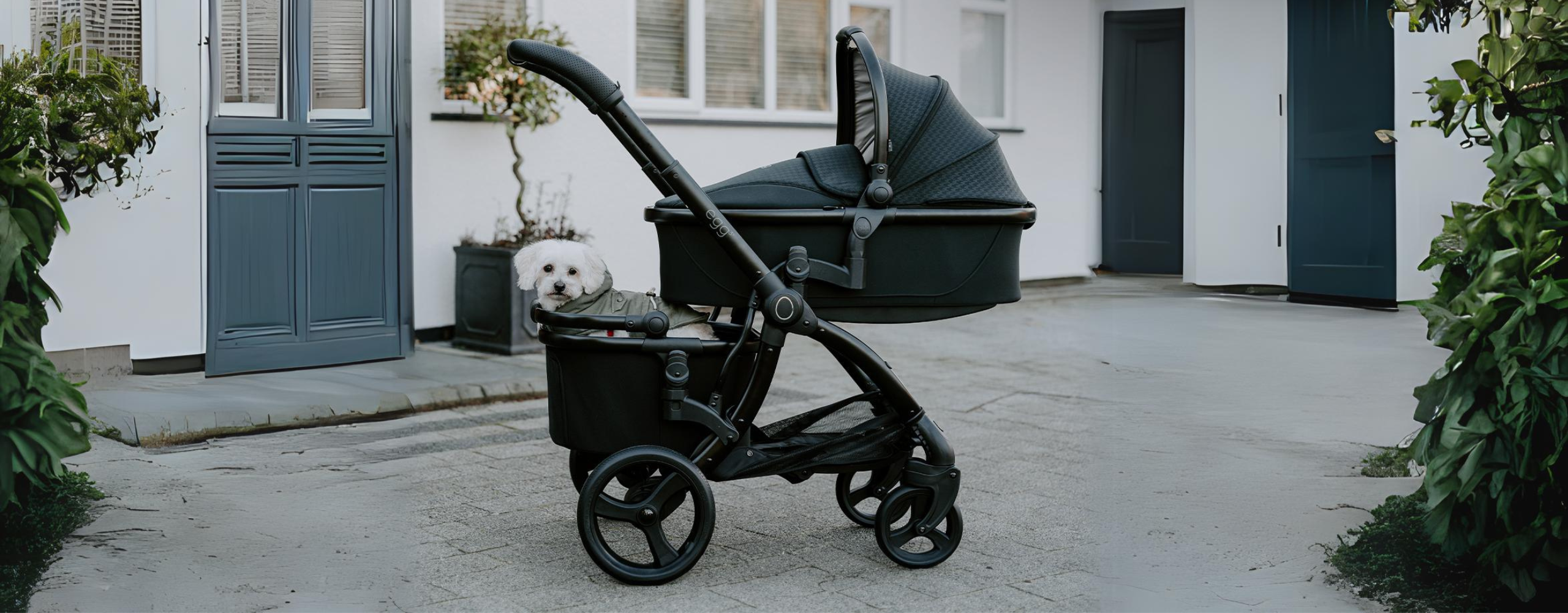 2 In 1 Pram