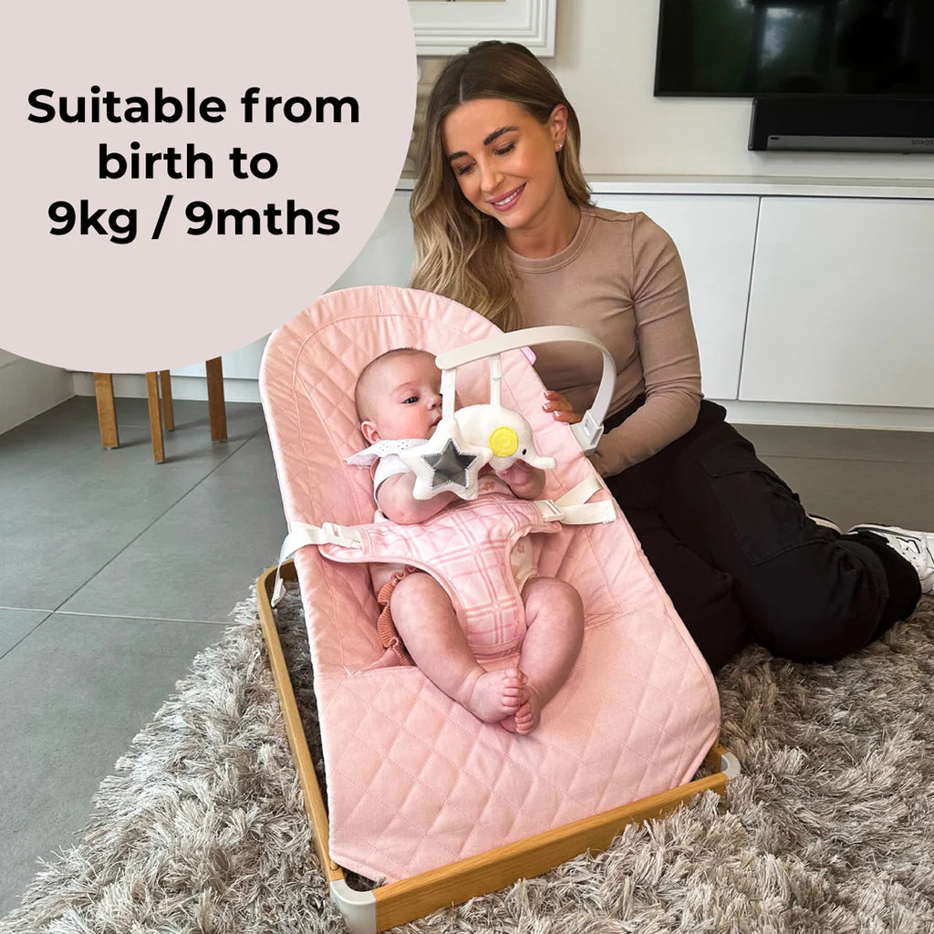Dani Dyer Pink Plaid Baby Bouncer -  | For Your Little One