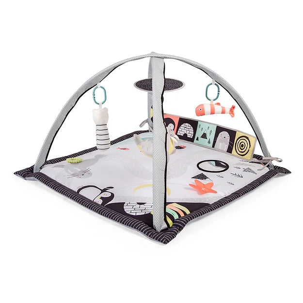 Red Kite Arctic Dreams Play Gym - For Your Little One