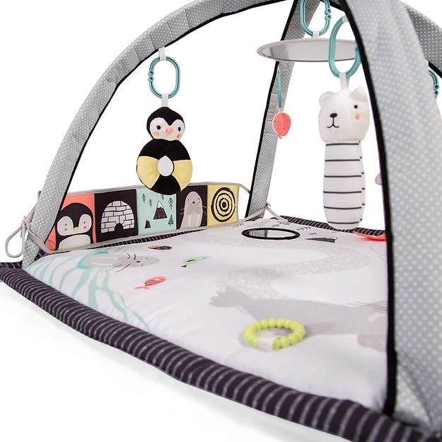 Red Kite Arctic Dreams Play Gym - For Your Little One