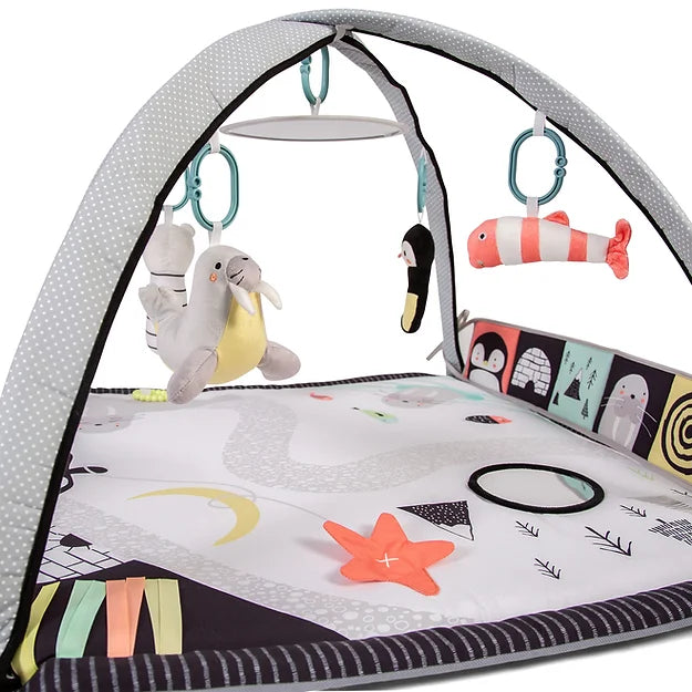 Red Kite Arctic Dreams Play Gym - For Your Little One