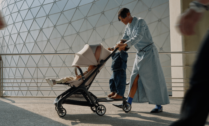 Bugaboo Butterfly Banner