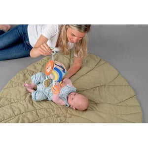 Halilit Taf Toys Savannah Discovery Cube - For Your Little One