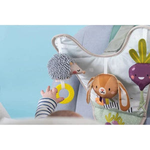 Halilit Taf Toys Urban Garden In Car Activity Centre - For Your Little One