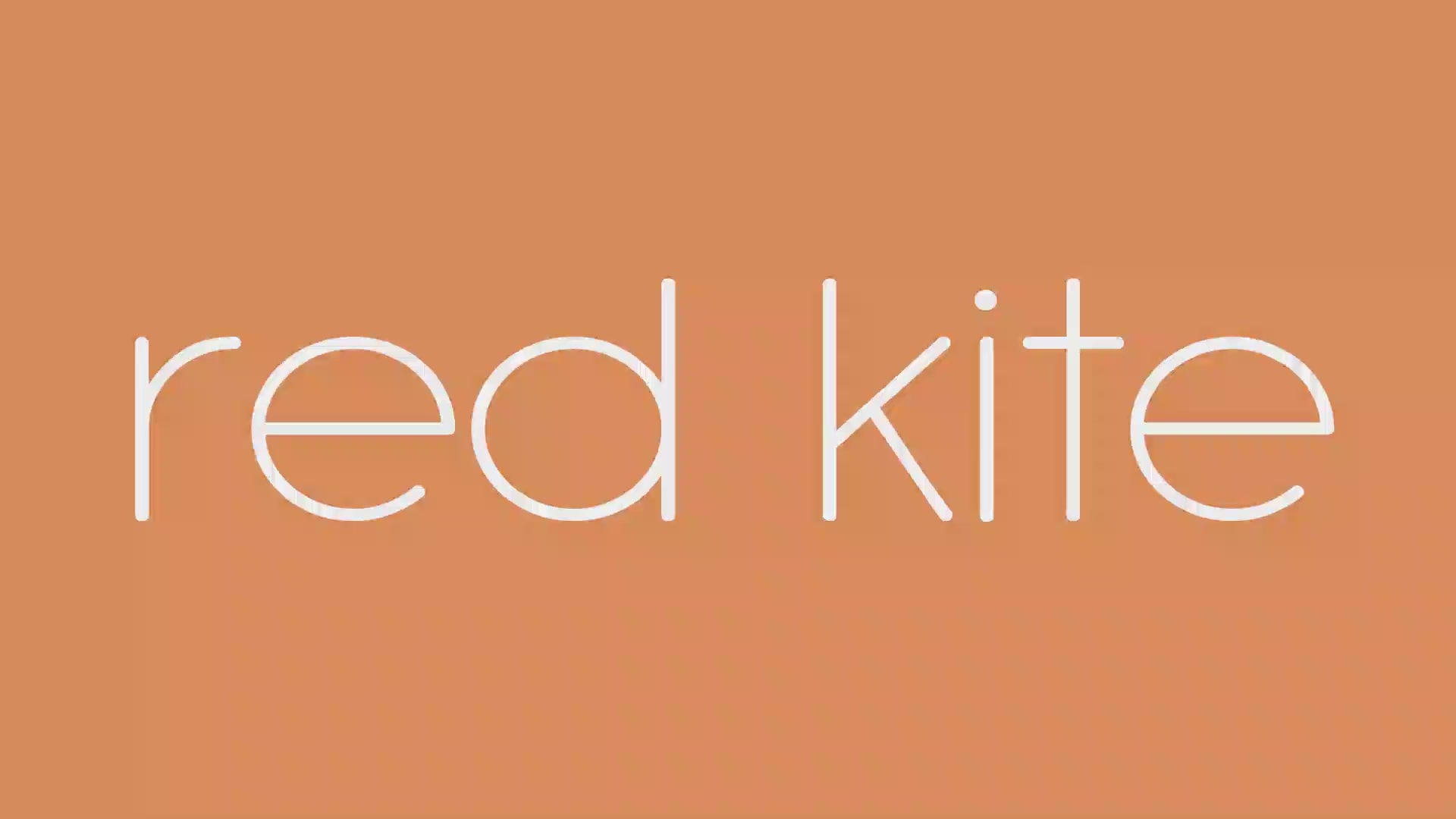 Red Kite Feed Me Snak 4 in 1 Highchair - Meow