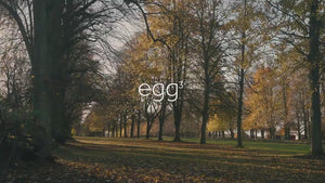 Egg® 3 Pushchair With Seat Liner - Feather