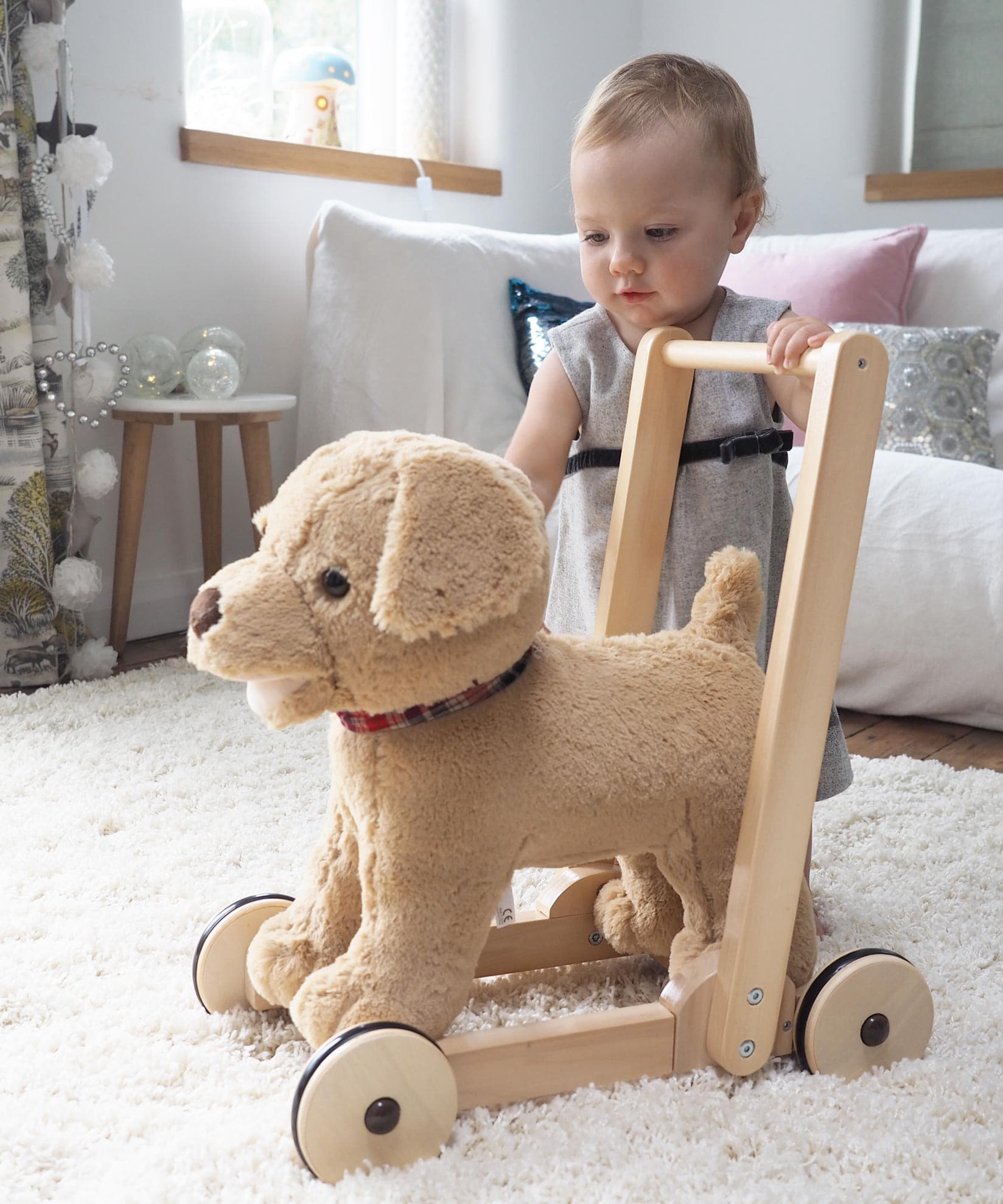 Push along store dog baby walker