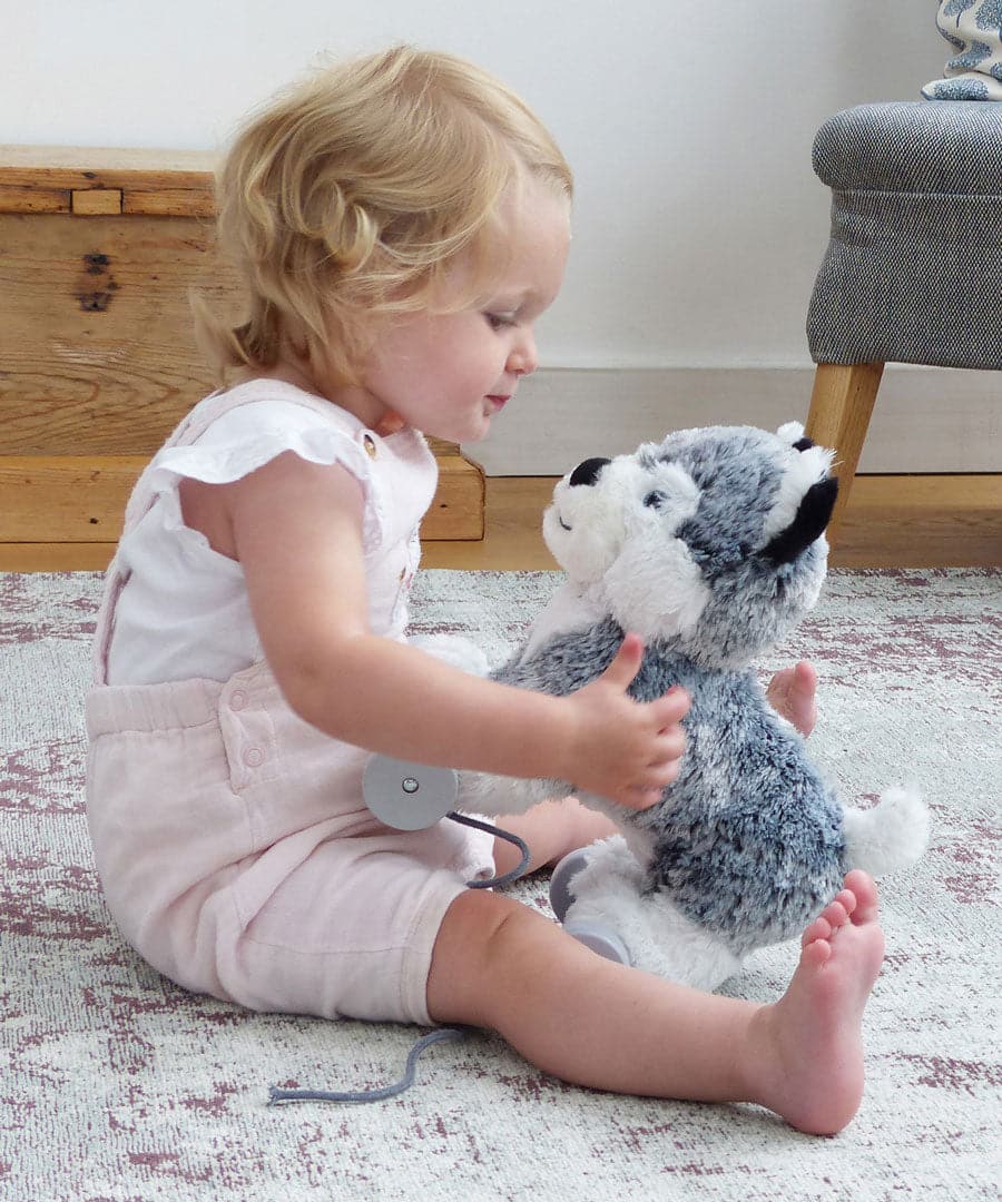 Little Bird Told Me Mishka Dog Pull Along Toy -  | For Your Little One