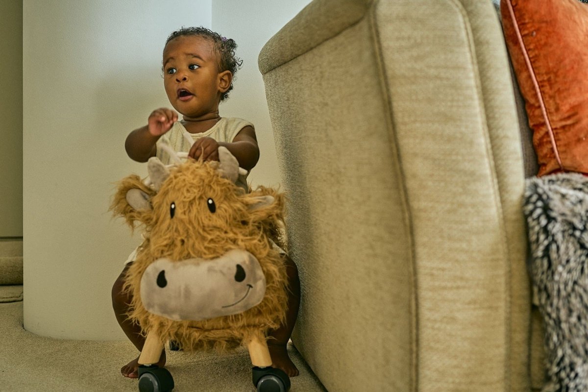 Little Bird Told Me Hubert Highland Cow Ride On - For Your Little One