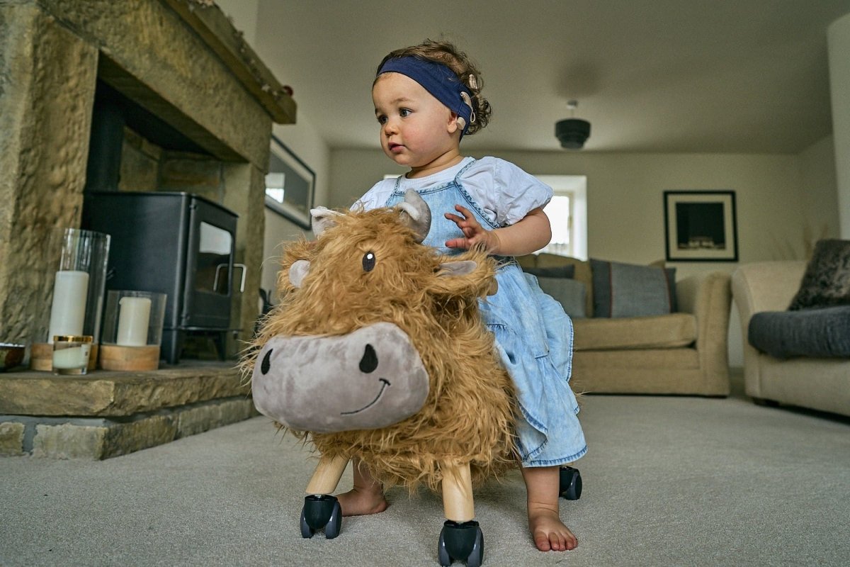 Little Bird Told Me Hubert Highland Cow Ride On - For Your Little One