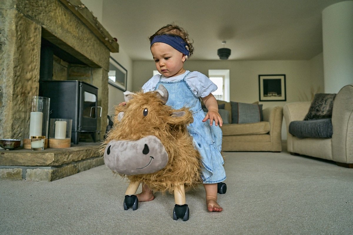 Little Bird Told Me Hubert Highland Cow Ride On - For Your Little One