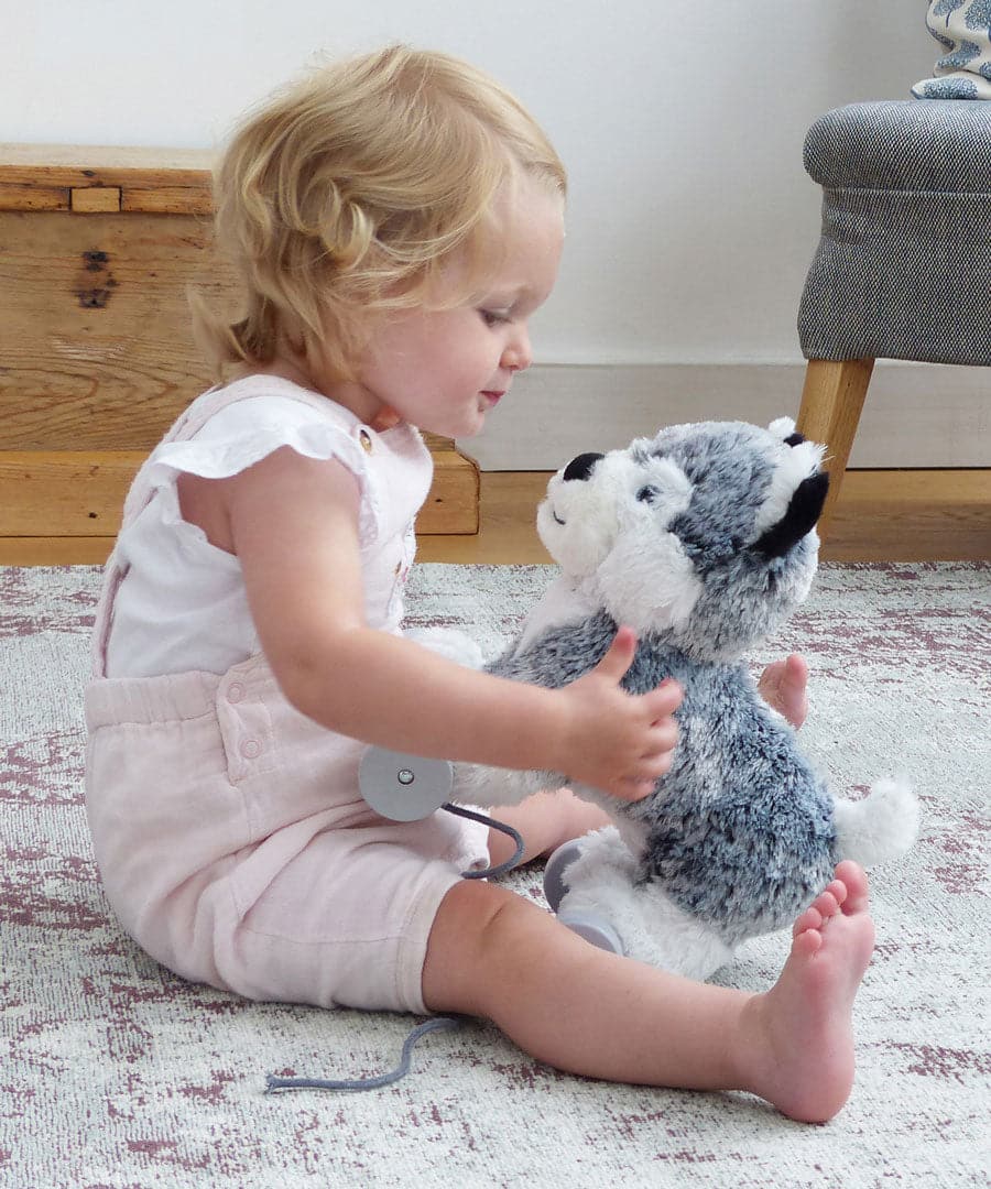 Little Bird Told Me Mishka Dog Pull Along Toy - For Your Little One