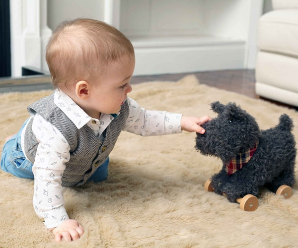 Little Bird Told Me Scottie Dog Pull Along Toy - For Your Little One